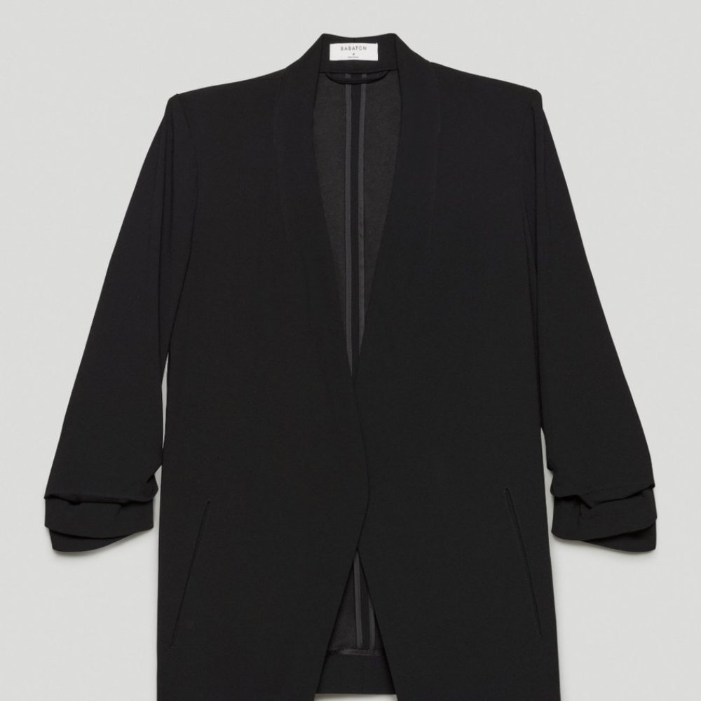 Aritzia Power Blazer